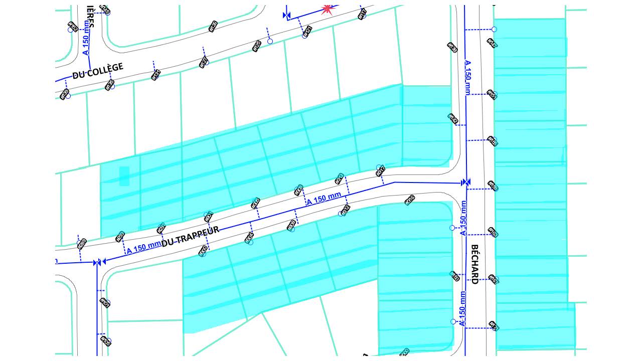 fin-coupureeau-bechard-trappeur.jpg (79 KB)